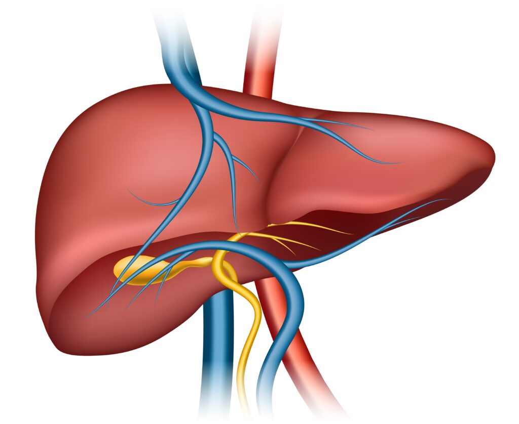 Liver Abscess Surgery
